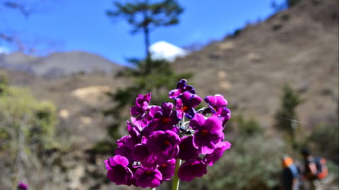 Bhutan zur besten Reisezeit erleben 