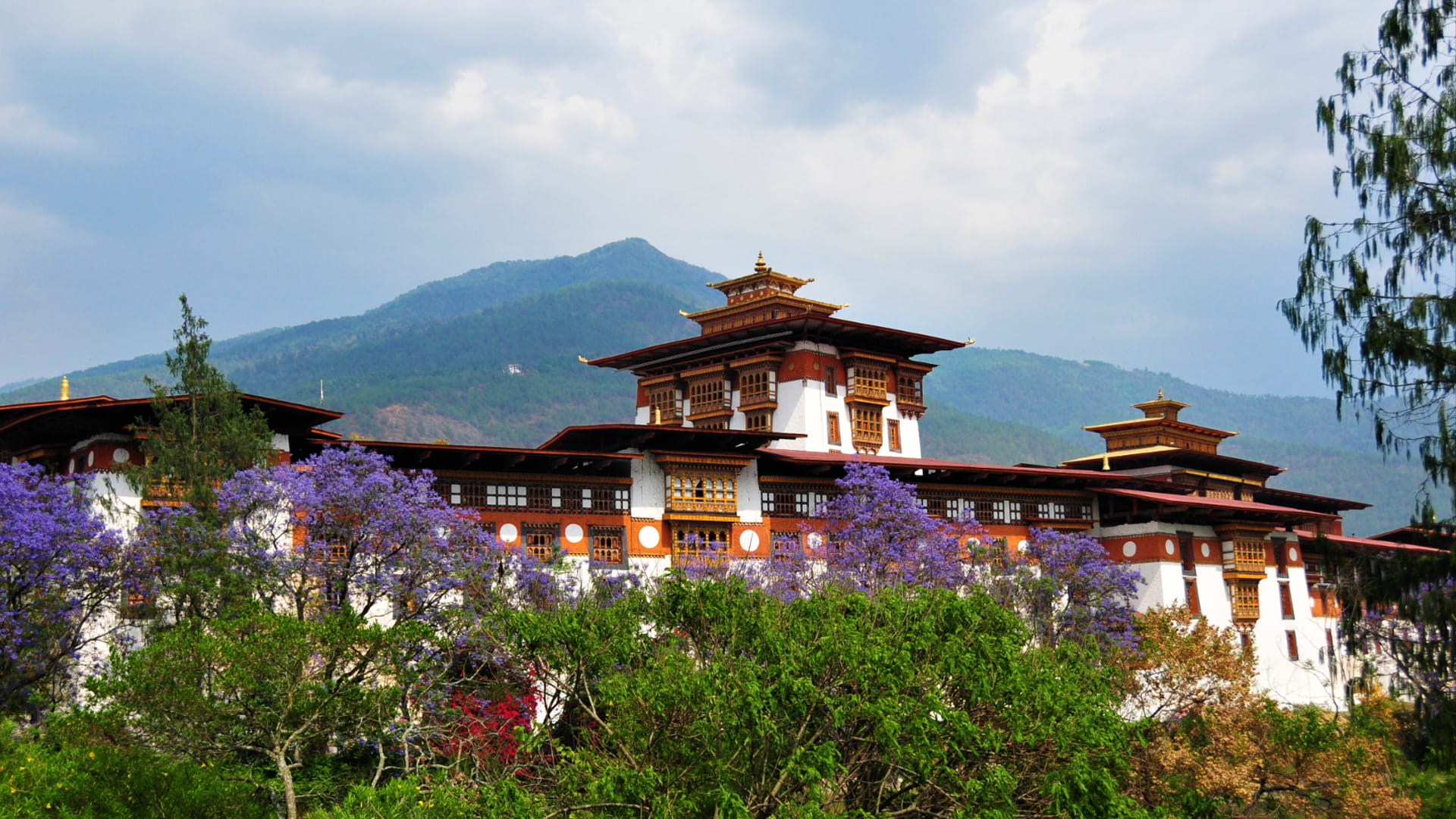 Punakha Dzong Bhutan 