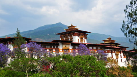 Punakha Dzong Bhutan 