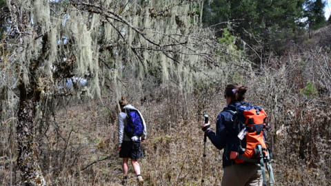 Natural beauty: Shots of untouched nature, glittering glaciers and lush forests along the trekking routes