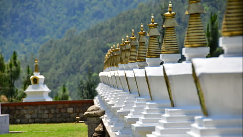 Chorten in Punkaha Bhutan 