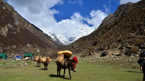Bhutan Trekking zum Chomolhari 