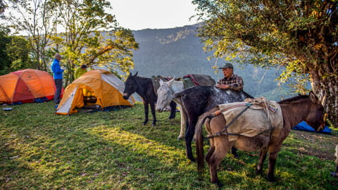 Individual trips for trekking in Bhutan