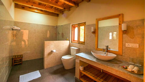 dhumra-farm-lodge-punakha-bathroom.jpg