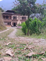 mendrelgang-homestay-punakha-5.jpg