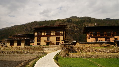 The Village Lodge in Paro